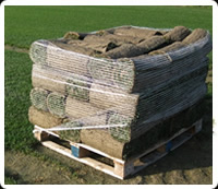 produzione e vendita-prati-a rotoli-erbosi-parma